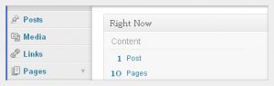 wordpress cms